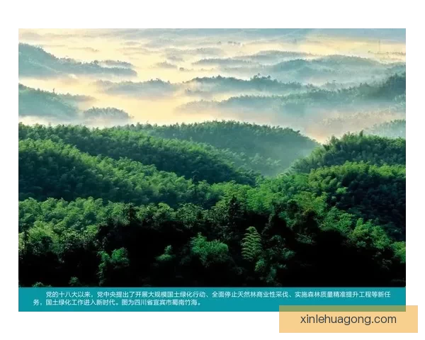 十八和谐综合：探寻背后的奥秘与价值